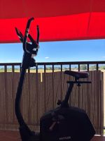 Velo appartement