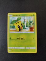Sunkern 7/236 Pokémon SM Cosmic Eclipse 2019 (EN) ab 1.-