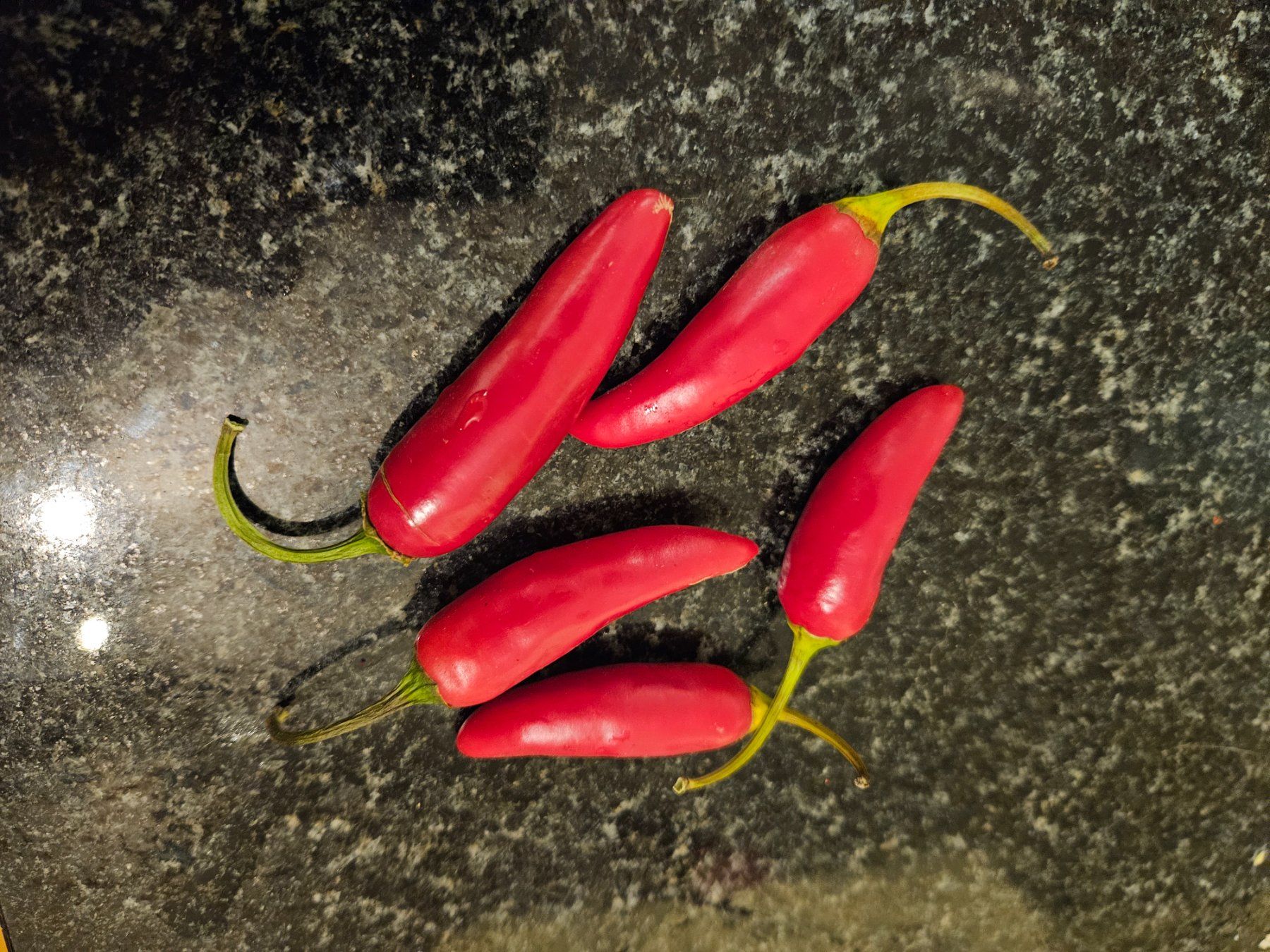 Pflanzen & Samen: Thai Dragon Chili Scharf Samen 10 Stück – Neu (gemäss Beschreibung) aus Regensdorf von Mischa88 3