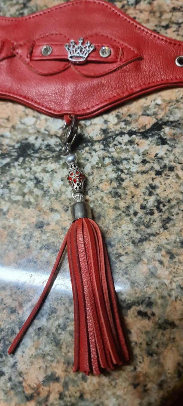 Leine & Halsband: Windhund Halsband – Neu (gemäss Beschreibung) aus Bellerive VD von Hermes5 5