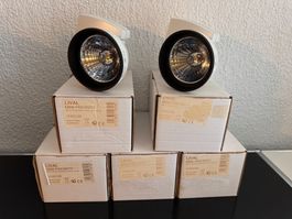 5 Stück Lival Mini Priority Schienenstrahler