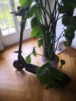 Acer Electric Scooter Series 5, praktisch neu