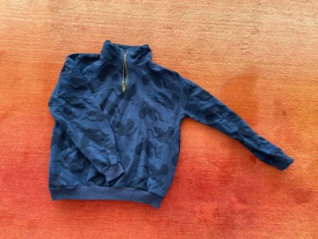 Sweatshirt, l’asticot, organic cotton, Alter 12 Jahre