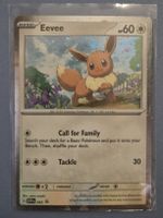 Pokemon Eevee Karte promo! englisch, ex.