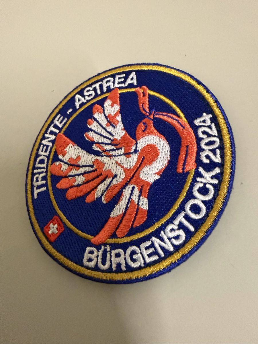 Schweizer Armee Placchette & Badge: Bürgenstock abzeichen Militär   – Nuovo (secondo la descrizione) da Zürich venduto da papaplatte 1