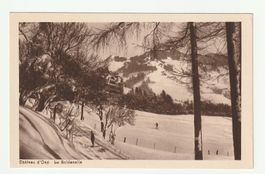 Ansichtskarte Château d'Oex La Soldanelle Winter Latscht