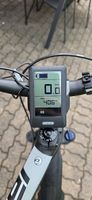 Fischer MTB