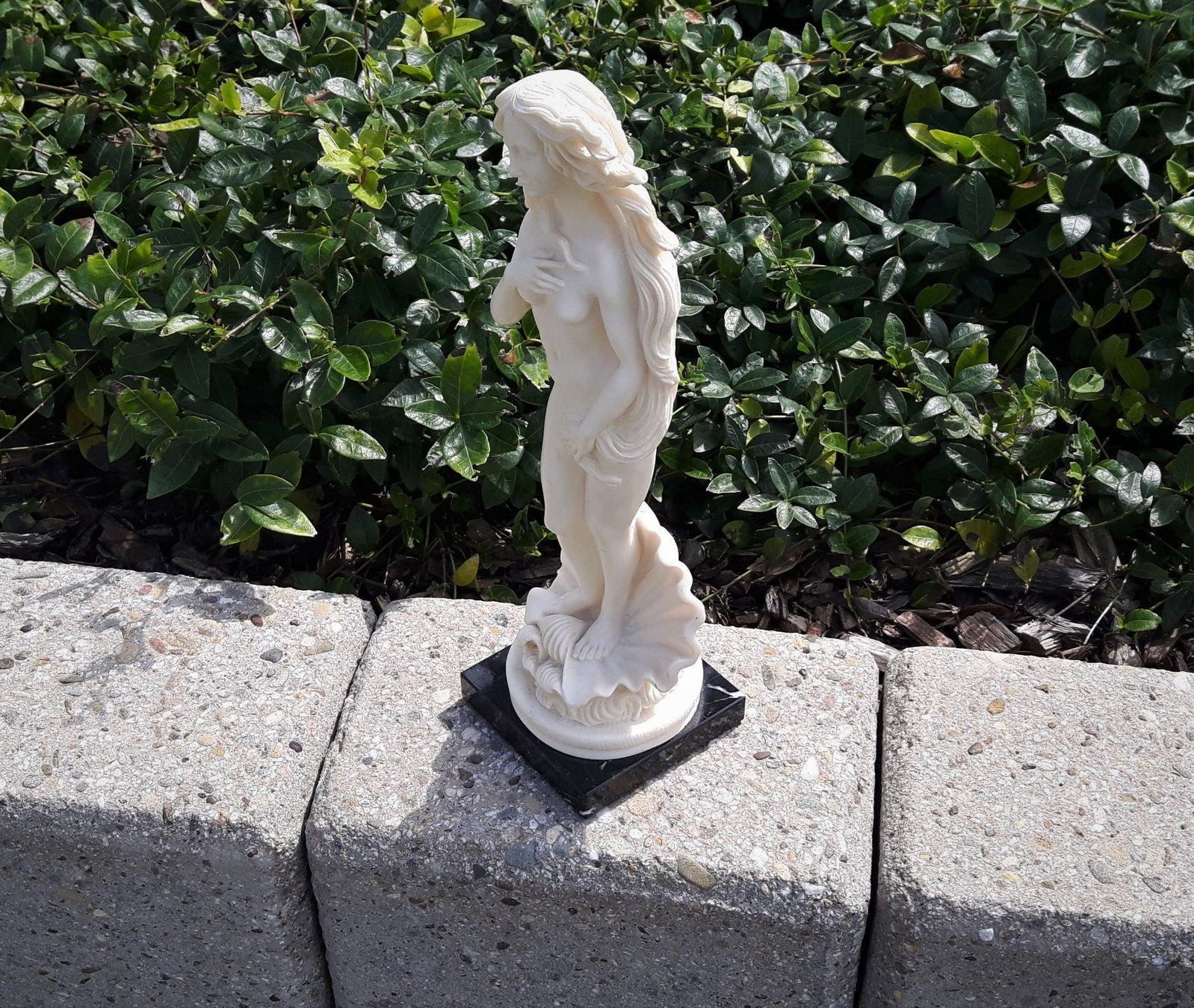 Sculture & Statue: Geburt der Venus – Usato da Zürich venduto da brinkosos 6