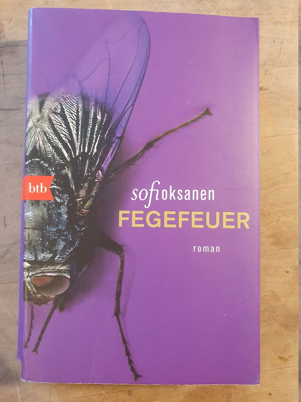 Libri: Fegefeuer Sofi Oksane BTB – Usato da Zürich venduto da loosebone