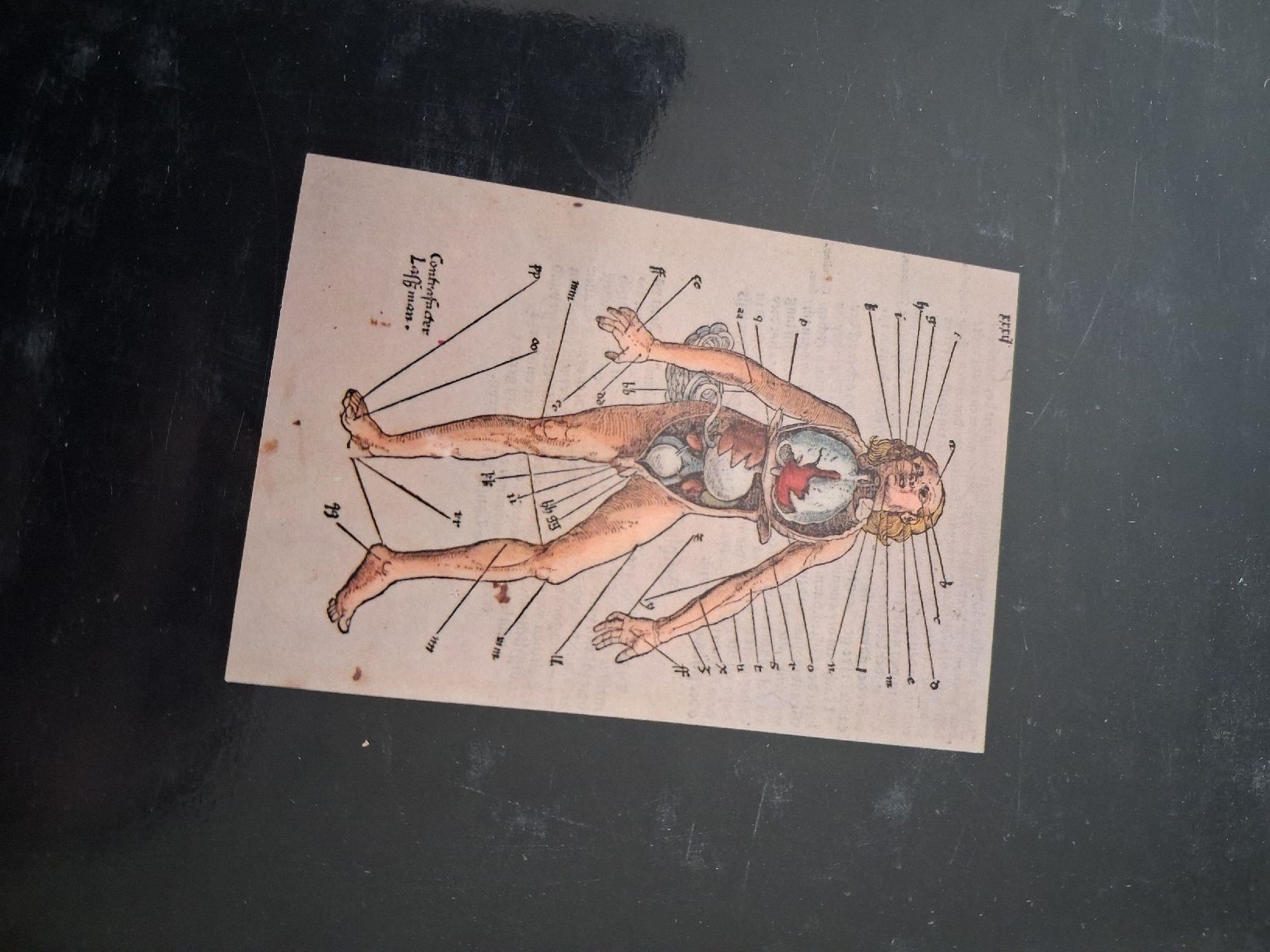 Libri: livre médecine 1978 – Usato da Lausanne venduto da Jerten 4