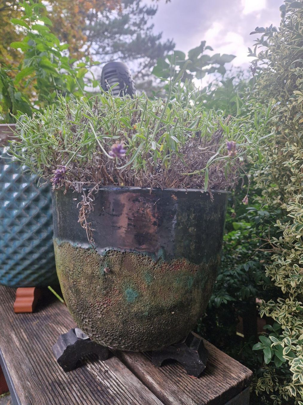 Blumentöpfe: Blumentopf – Gebraucht aus Luzern von TamaraMoser