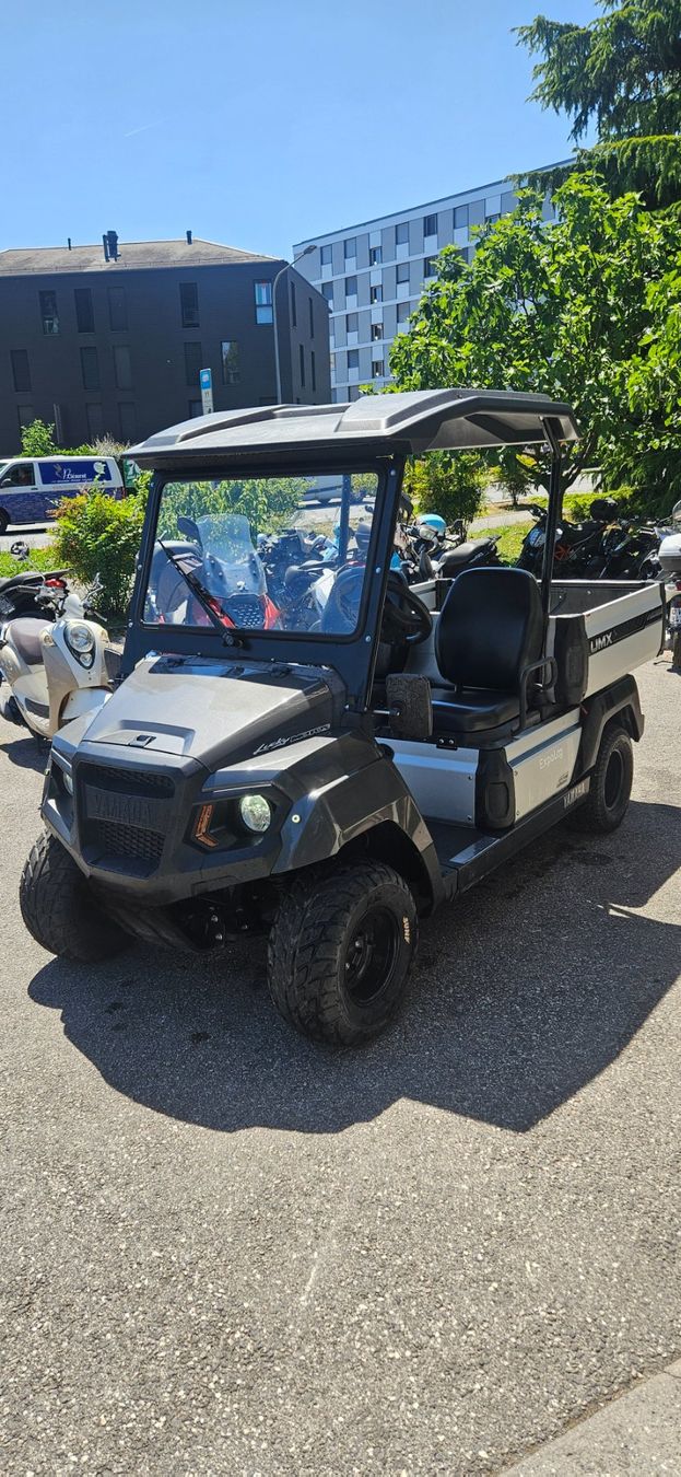 Veicoli elettrici: Véhicule Yamaha UMX AC – Usato da Chavannes-Renens venduto da Sticky64