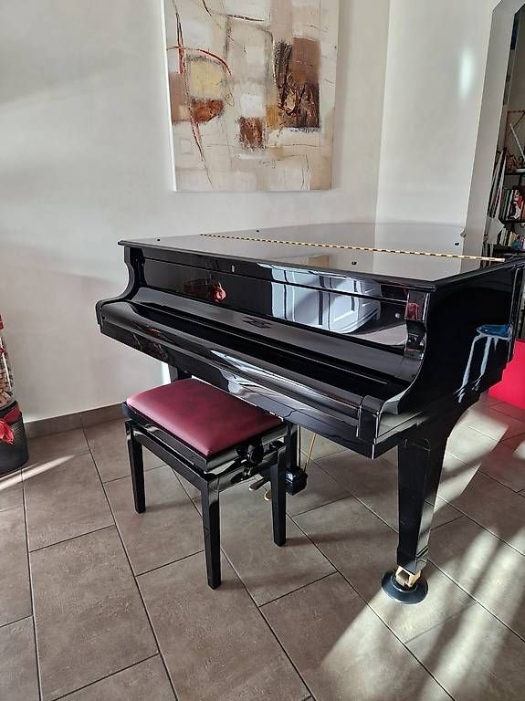 Strumenti musicali: Piano – Usato da Laconnex venduto da Duraffourd 1