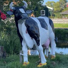 Profile image of othoma