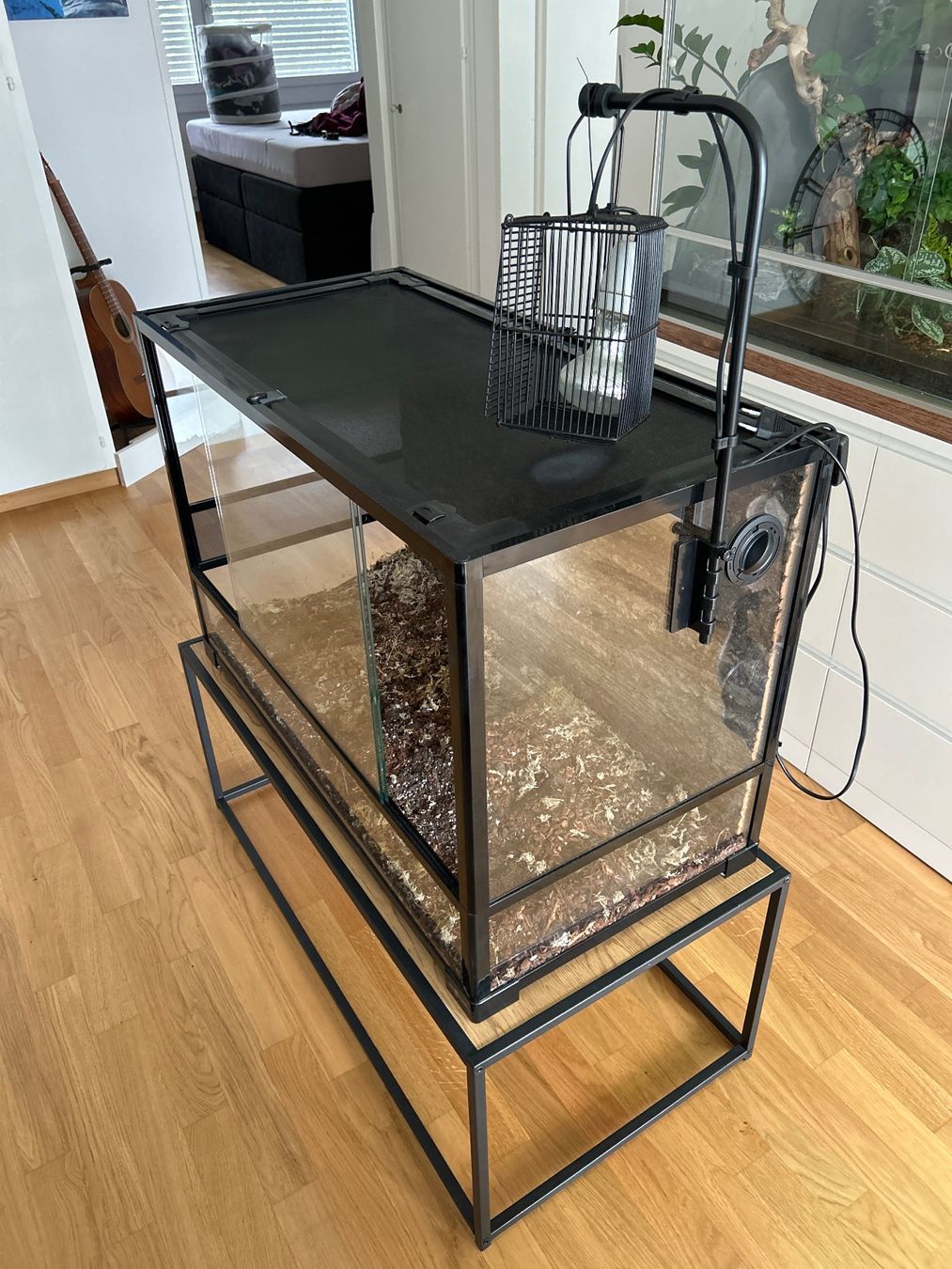 Terrario: Terrarium mit Lampe und Tisch – Usato da Spiez venduto da Marix990