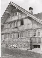 Foto E.Grubenmann, Appenzellerland, Bauernhaus, Hühner