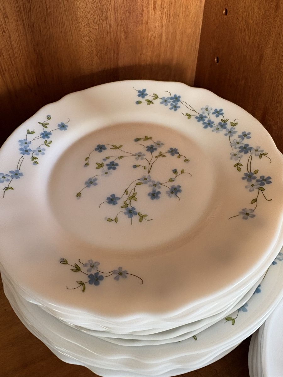 Set di piatti: Arcopal Geschirr Set Blumenmuster weiss gebraucht – Usato da Chur venduto da Weltanschau