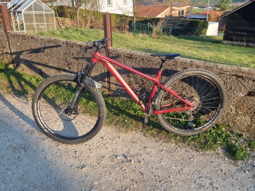 Canyon Biciclette: VTT Canyon Stoïc 3 Taille L – Usato da Loveresse venduto da didana