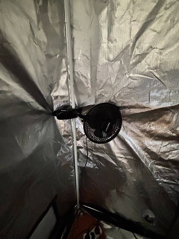 Growbox Sonstiges: Growbox Komplettset inkl. LED-Lampe & Abluftsystem – Gebraucht aus Hochdorf von kor_5bfd 4