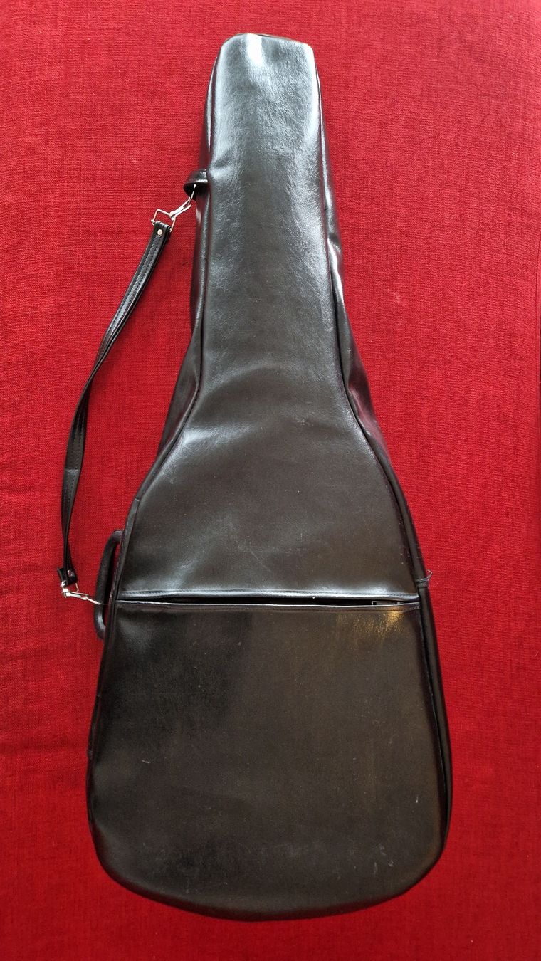Strumenti musicali: Takeharu Guitar  Gt85 + case – Usato da Zug venduto da erge111 5