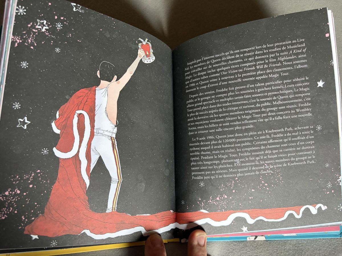 Libri: Freddie Mercury Buch – Usato da Balsthal venduto da Sven.sch 4