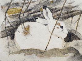 DOMINIQUE COSANDEY LITHOGRAPHIE ORIGINALE  "LIÈVRE"
