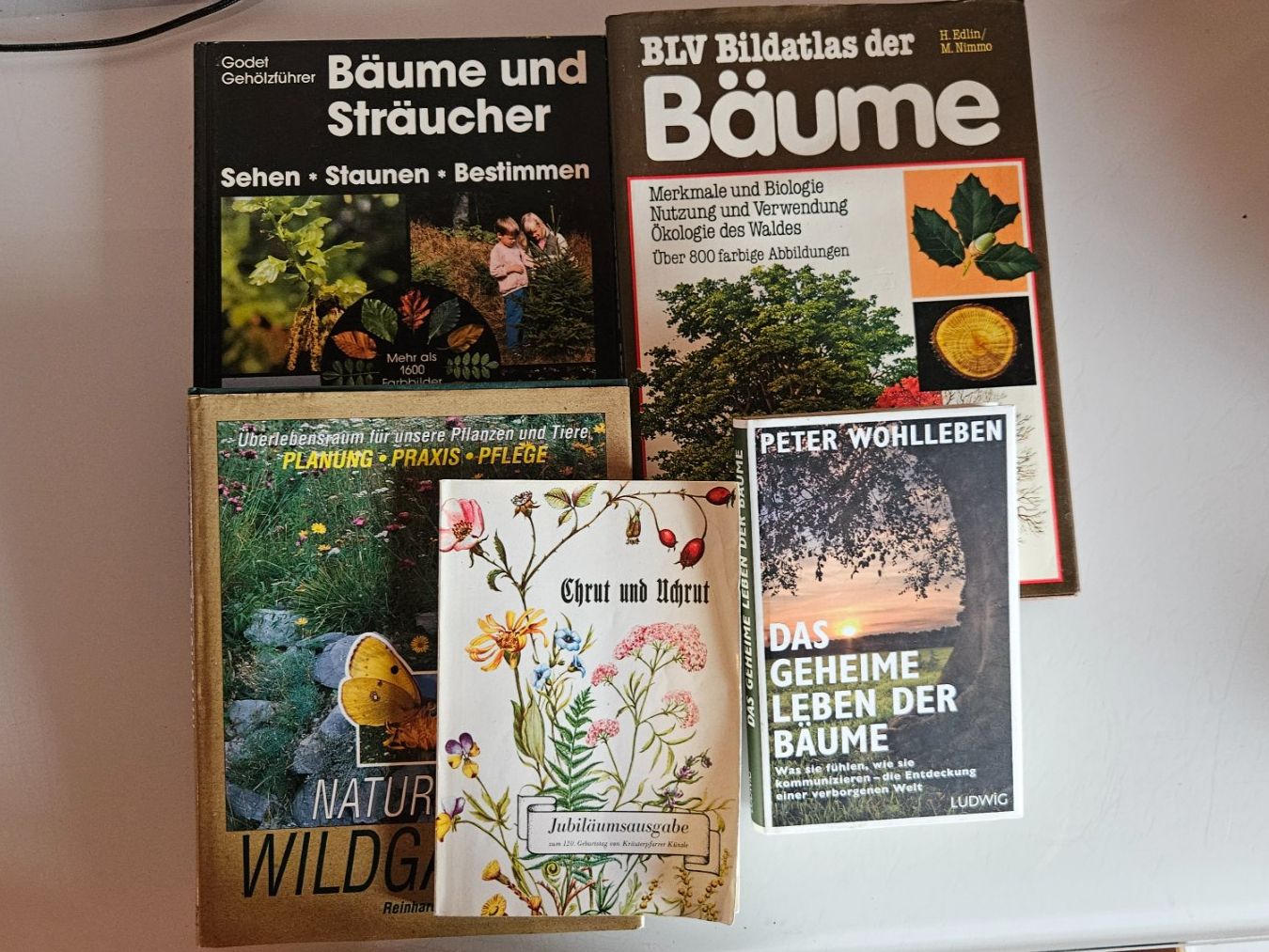 Libri: Bücher Bäume Sträucher – Usato da Basel venduto da True_Hofer_Store