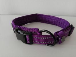 Hundehalsband Violett S reflektierend und weich gepolstert