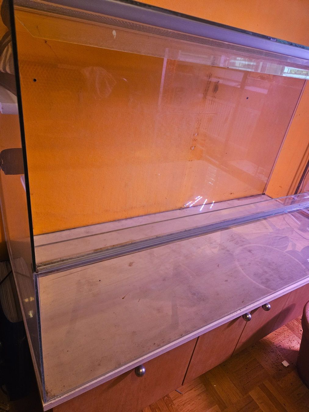 Terrarium: Nager Glas-Terrarium – Gebraucht aus Luzern von Ronaldo04 1