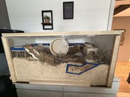 Terrarium 120x60x60
