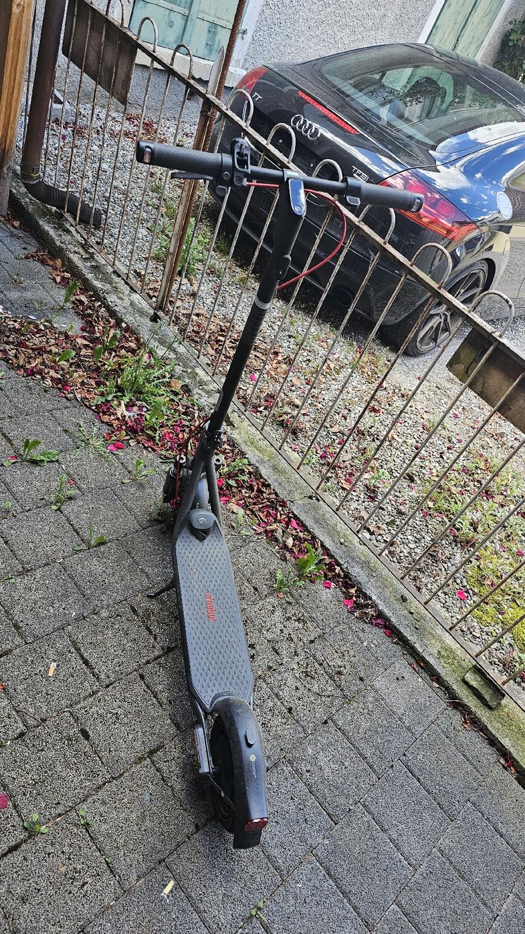 Voiturettes électriques: Ninebot E-Roller – D'occasion à Oberriet SG par stoopdario