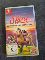 Nintendo Switch Spirit