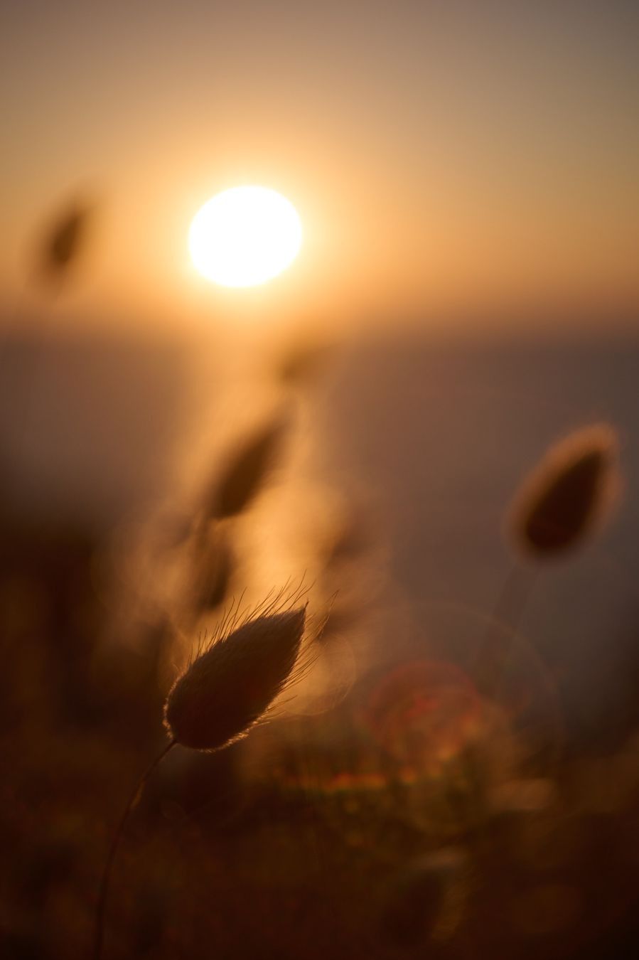 Nikkor Obiettivi: Nikon Noct Nikkor 58mm f1.2 – Usato da Uster venduto da nic_z5l7 7
