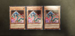 Yugioh Sternstaub-Xiaolong KICO