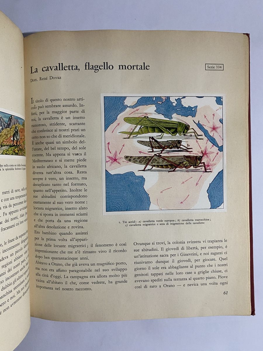Libri: Scienza, Scoperte, Esplorazioni, Volume 3 – Usato da Gudo venduto da mat_sj7s 4