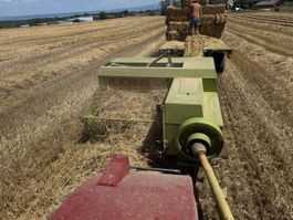 Kleinballenpresse Claas Markant 