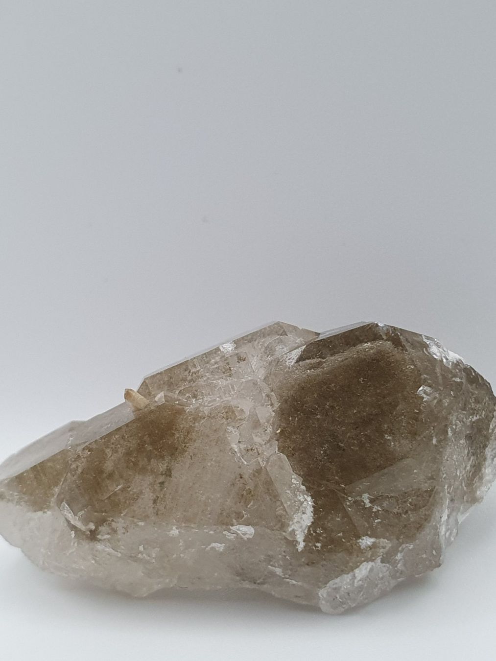 Minerali & Pietre curative: Phantomquarz mit Titanit – Nuovo (secondo la descrizione) da Holderbank SO venduto da swiss-minerals 3
