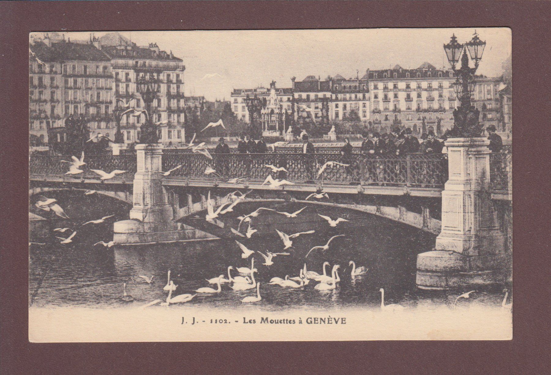 Cartoline postali: GENEVE - Les Mouettes – Usato da Pully venduto da nicecards