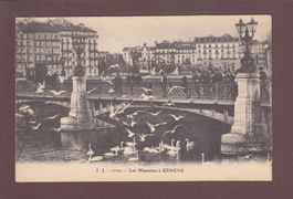 GENEVE - Les Mouettes