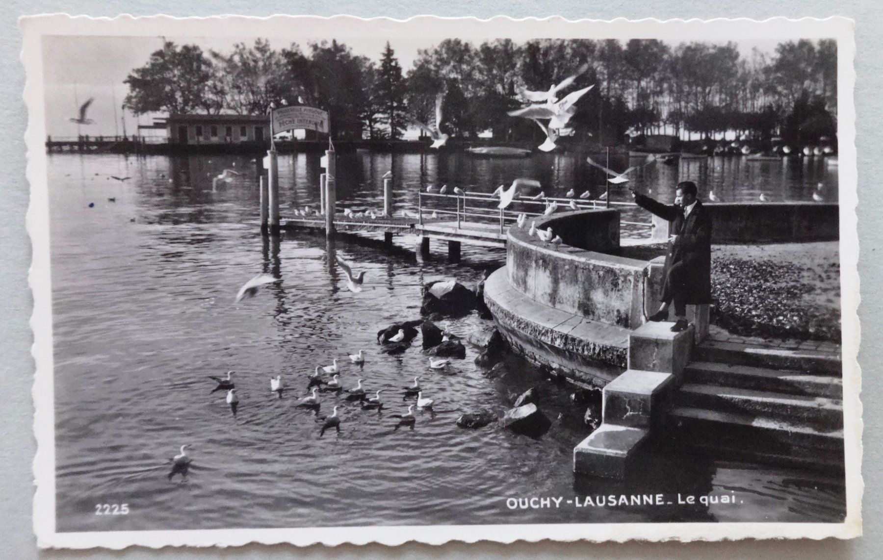 Cartoline postali: Ouchy-Lausanne - Le quai – Usato da Fétigny venduto da Billy2miny