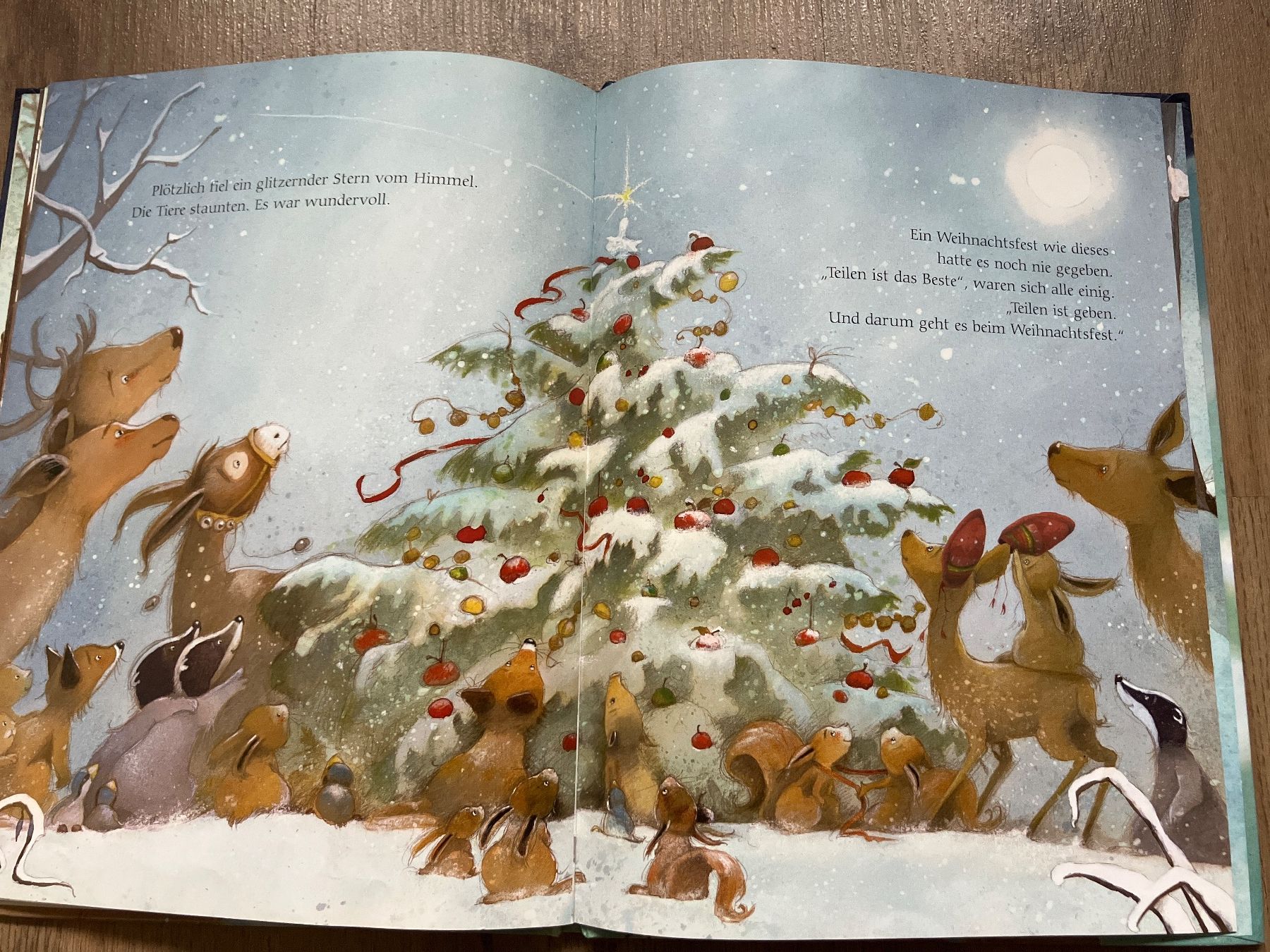 Bücher: Weihnachten mit den Tieren – Gebraucht aus Schüpfheim von mami2020 2