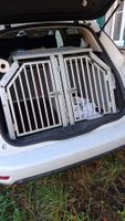 Hundebox