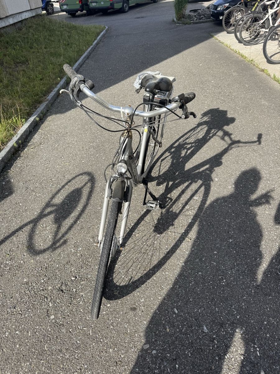 Leopard Biciclette: E-Bike Leopard – Usato da Gwatt (Thun) venduto da louisgafner 1