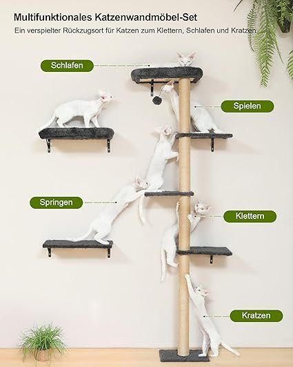 Pareti & prese d'arrampicata: Kletterwand Katzen-Set, 178 cm hoch – Nuovo e nell'imballaggio originale da Oberentfelden venduto da ase_sk8n 1