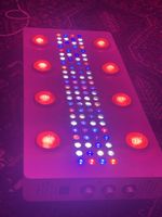 LED Grow Lampe für Pflanzenwachstum - Top Zustand!