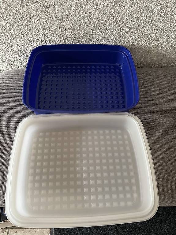 Recipients et similaires: Tupperware Marinierbehälter blau/weiss  Neu  – D'occasion à Künten par Gubapri 1