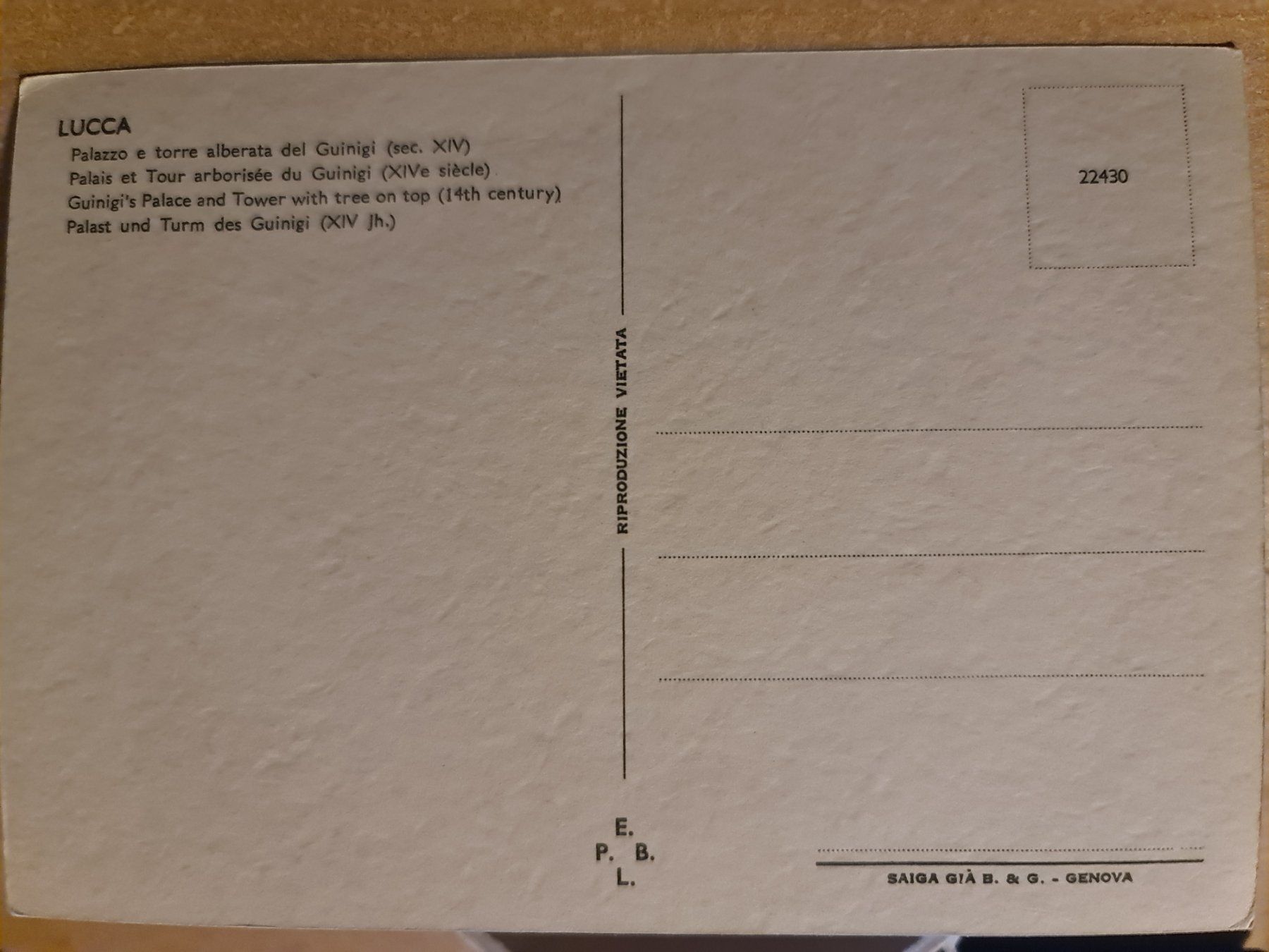 Cartoline postali: Ansichtskarte Lucca, Palast und Turm mit Baum 14. Jh. – Nuovo (secondo la descrizione) da Dintikon venduto da Vexi 1