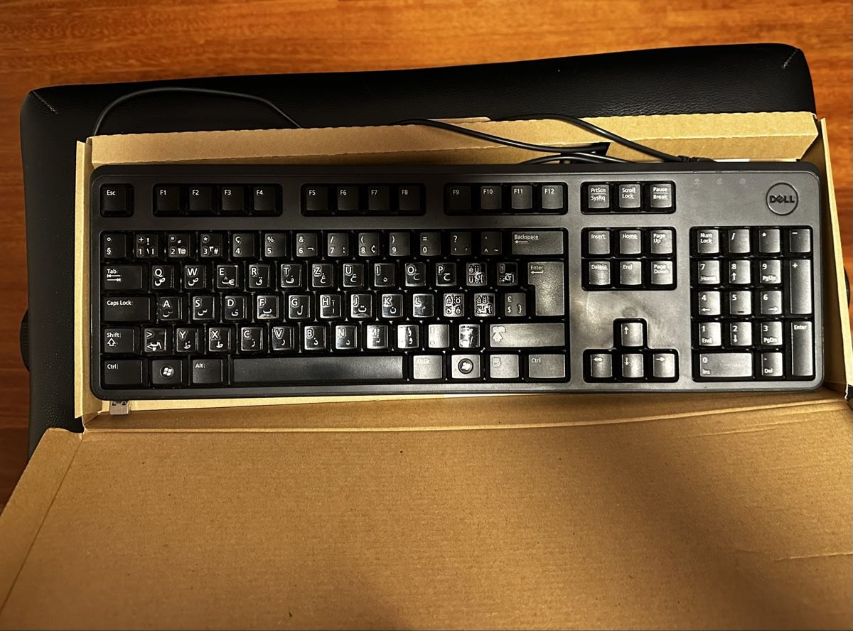 Dell PCs: Dell Precision T5500 PC with Keyboard & mouse - no hard disk – D'occasion à Pully par farzin 9