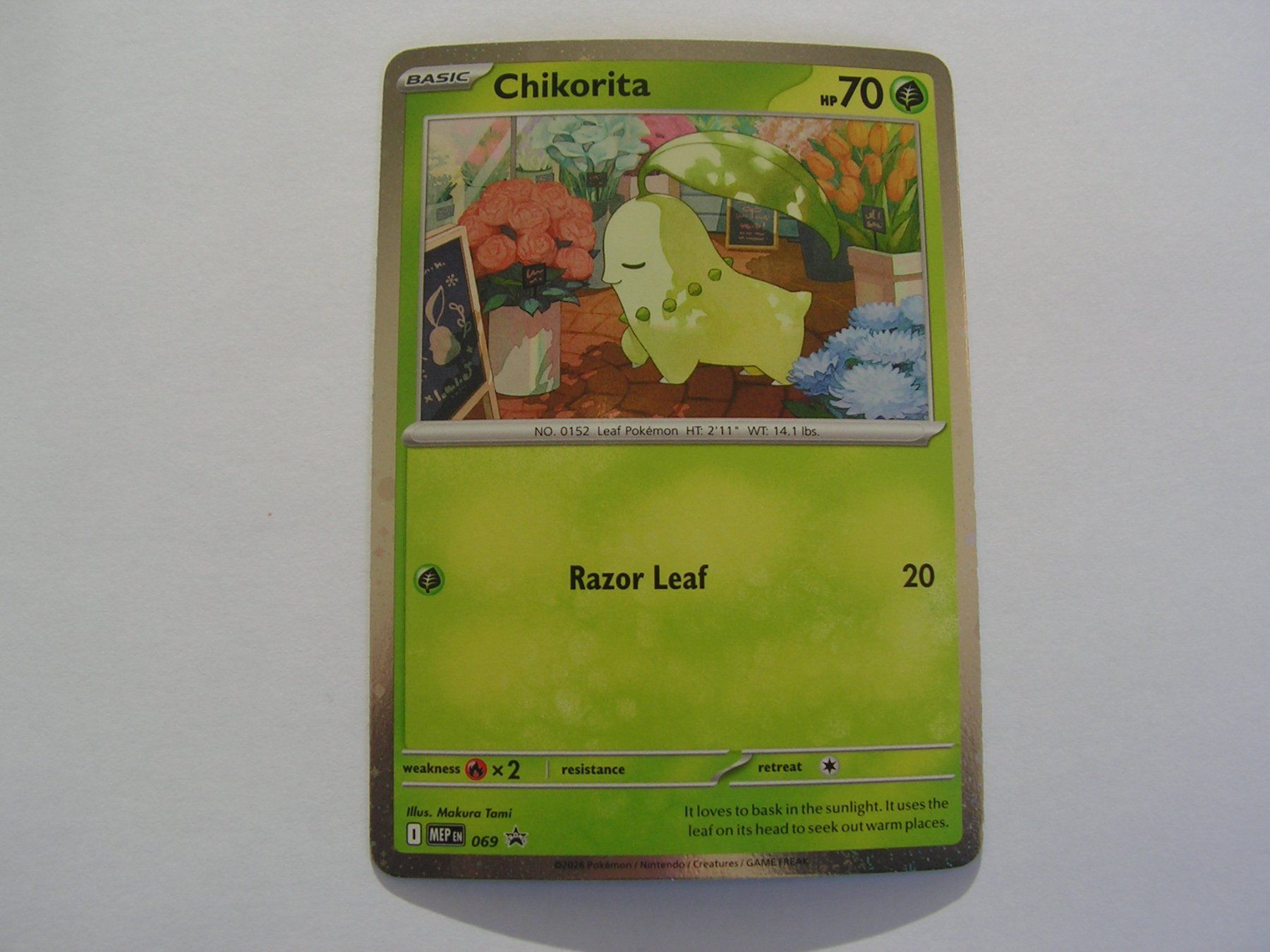 Pokémon Sammelbilder & Trading cards: Chikorita Promo MEP69 – Neu (gemäss Beschreibung) aus Aesch BL von Hansboeni