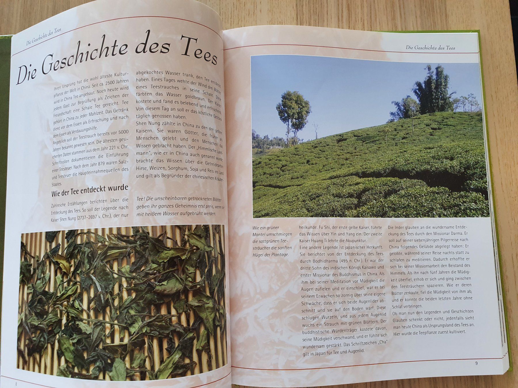 Libri: Buch: Tee, V. von Wachendorf – Nuovo (secondo la descrizione) da Thun venduto da Zuzi84 4